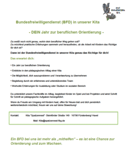 Stellenanzeige BFD